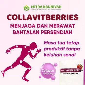 Boosterfactory Collavitbearis