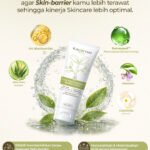 Face wash Reneseed